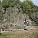 Terry Land Village * Kardamas