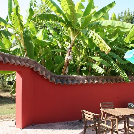 Сasa de vacaciones Terry Land Village