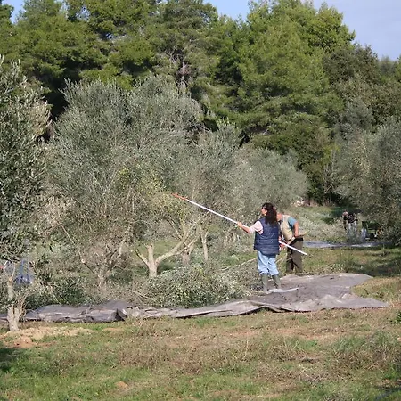 Terry Land Village * Kardamas