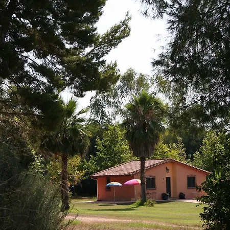 Terry Land Village