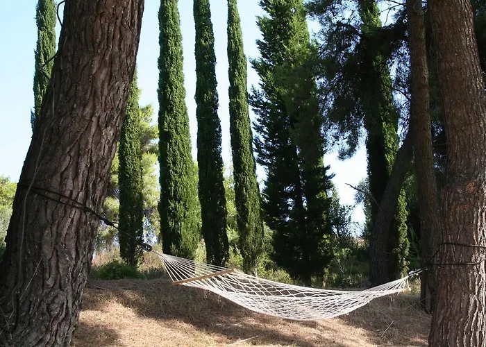 Terry Land Village Дом отдыха