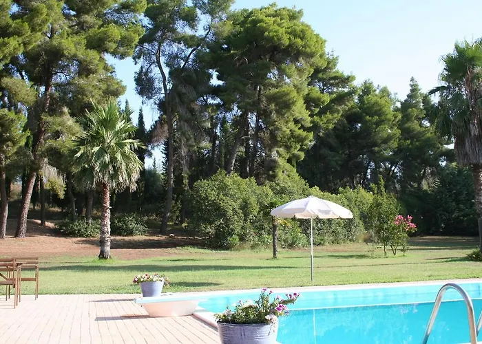 Terry Land Village Дом отдыха