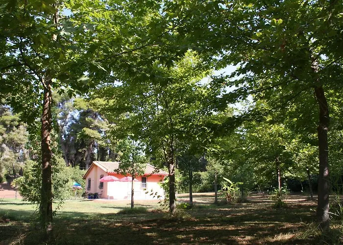 Дом отдыха Terry Land Village